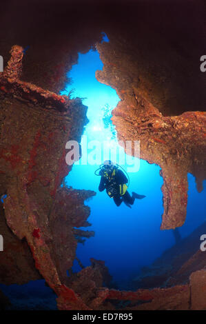 Taucher auf schwimmt im Frachtraum des Schiffbruchs 'SS Dunraven', Rotes Meer, Ägypten Stockfoto