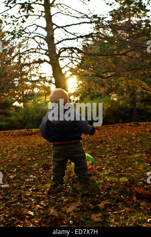 Spaß im Park mit jungen Blätter Stockfoto