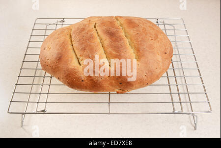 Frisch gebackenes Brot Multi Samen auf einem Kuchengitter abkühlen Stockfoto