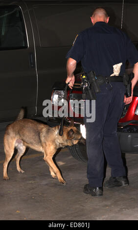 Menomonee Falls Police k-9 auf der Suche nach Medikamente auf ein Auto in einem Parkhaus Stockfoto