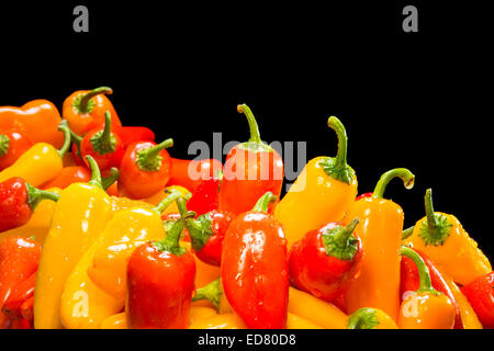 Auswahl an frischen, Reifen rote, gelbe und orange Paprika vor einem schwarzen Hintergrund für die Platzierung der Kopie gerahmt. Stockfoto