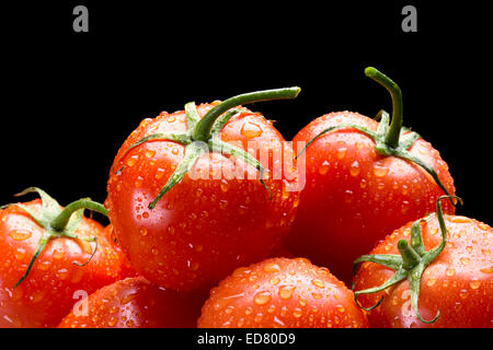 Auswahl von frische, Reife rote Tomaten vor einem schwarzen Hintergrund für die Platzierung der Kopie gerahmt. Stockfoto