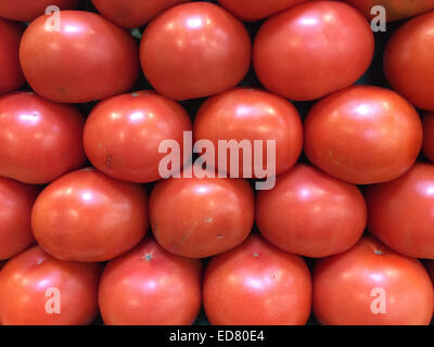 Schöne, frische Tomaten, die in Reihen auf einen Bauernmarkt angeordnet produzieren stand Stockfoto