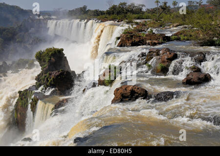 Iguazu-Wasserfälle, der Argentinien-Seitenansicht des Flusses Iguazu Stockfoto