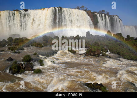 Iguazu-Wasserfälle, der Brasilien-Seitenansicht des Flusses Iguazu Stockfoto