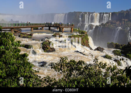 Iguazu-Wasserfälle, der Brasilien-Seitenansicht des Flusses Iguazu Stockfoto