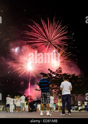 Brasilia, Brasilien. 1. Januar 2015. Feuerwerk erleuchten den Himmel über Platz der drei Gewalten in Brasilia, Hauptstadt von Brasilien, 1. Januar 2015. Bildnachweis: Xu Zijian/Xinhua/Alamy Live-Nachrichten Stockfoto