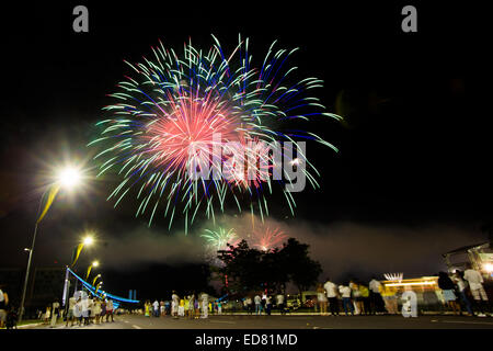 Brasilia, Brasilien. 1. Januar 2015. Feuerwerk erleuchten den Himmel über Platz der drei Gewalten in Brasilia, Hauptstadt von Brasilien, 1. Januar 2015. Bildnachweis: Xu Zijian/Xinhua/Alamy Live-Nachrichten Stockfoto