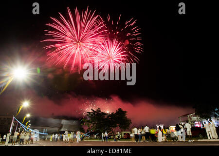 Brasilia, Brasilien. 1. Januar 2015. Feuerwerk erleuchten den Himmel über Platz der drei Gewalten in Brasilia, Hauptstadt von Brasilien, 1. Januar 2015. Bildnachweis: Xu Zijian/Xinhua/Alamy Live-Nachrichten Stockfoto