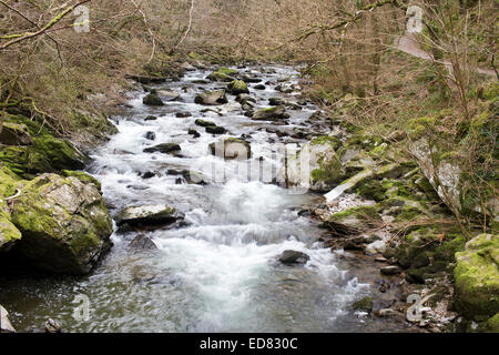 Die East Lyn River, in der Nähe von Lynmouth, North Devon, England, UK. Stockfoto