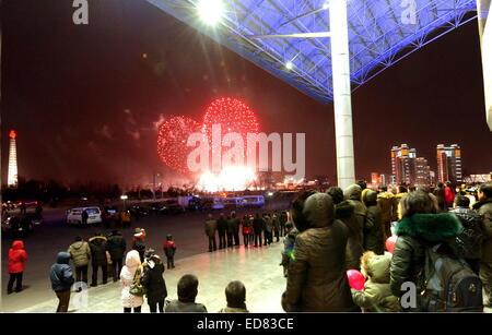 Pyongyang. 1. Januar 2015. Foto zur Verfügung gestellt von Korean Central News Agency (KCNA) am 1. Januar 2015 zeigt Feuerwerk zeigt in den Himmel über Pyongyang auf das neue Jahr 2015. Bildnachweis: KCNA/Xinhua/Alamy Live-Nachrichten Stockfoto