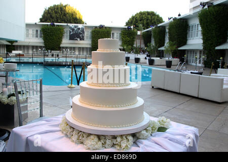 Hilton beherbergt die Hochzeitsfeier von Paul Katami und Jeff Zarrillo mit: Atmosphäre wo: Los Angeles, California, Vereinigte Staaten von Amerika bei: 28. Juni 2014 Stockfoto