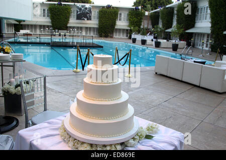 Hilton beherbergt die Hochzeitsfeier von Paul Katami und Jeff Zarrillo mit: Atmosphäre wo: Los Angeles, California, Vereinigte Staaten von Amerika bei: 28. Juni 2014 Stockfoto