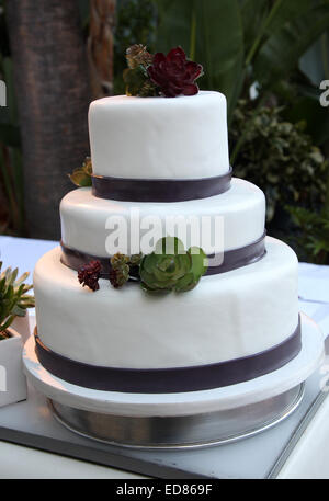 Hilton beherbergt die Hochzeitsfeier von Paul Katami und Jeff Zarrillo mit: Atmosphäre wo: Los Angeles, California, Vereinigte Staaten von Amerika bei: 28. Juni 2014 Stockfoto