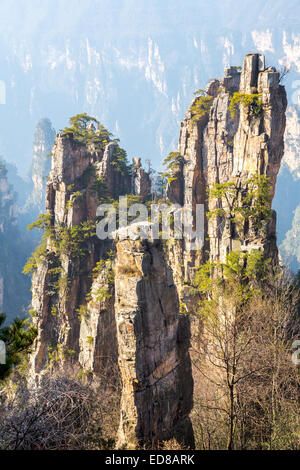 Zhangjiajie National Forest Park am Wulingyuan Hunan China Stockfoto
