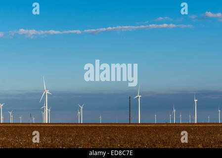 erneuerbare Energie Windkraftanlagen mit Baumwollfeldern im Vordergrund Stockfoto