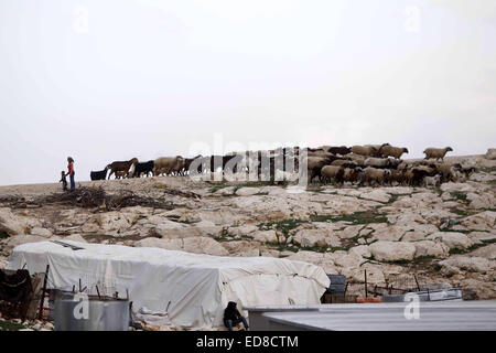 Jerusalem, Westjordanland, Palästinensische Gebiete. 1. Januar 2015. Palästinensischen Beduinen-Kinder führen eine Herde von Schafen außerhalb ihrer Familie provisorisch in der West Bank in der Nähe von Jerusalem, 1. Januar 2015. Israelische Kräfte eine Reihe von Beduinen Gemeinden östlich von Jerusalem am Donnerstag Tag nach der Übergabe sie Abriss und Evakuierung Aufträge durchsucht, sagte Zeugen. In der letzten Woche, die palästinensische Landwirtschaft und Minister für auswärtige Angelegenheiten sowie 42 lokale, Israel und die internationalen Organisationen haben die Pläne, die für die Beduinen in zwei Städte umgesiedelt werden rufen verurteilt (Credit-Bild: © Muammar Stockfoto