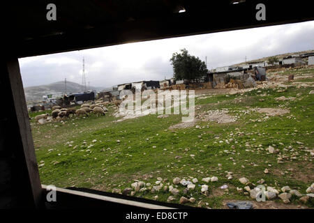 Jerusalem, Westjordanland, Palästinensische Gebiete. 1. Januar 2015. Schafe sind außerhalb palästinensischen Beduinen Makeshifts, in der West Bank in der Nähe von Jerusalem, 1. Januar 2015 gesehen. Israelische Kräfte eine Reihe von Beduinen Gemeinden östlich von Jerusalem am Donnerstag Tag nach der Übergabe sie Abriss und Evakuierung Aufträge durchsucht, sagte Zeugen. In der letzten Woche, die palästinensische Landwirtschaft und Minister für auswärtige Angelegenheiten sowie 42 lokale, Israel und die internationalen Organisationen haben die Pläne, die für die Beduinen in zwei Städte umgesiedelt werden rufen verurteilt © Muammar Awad/APA Bilder/ZUMA Draht/Alamy Live News Stockfoto