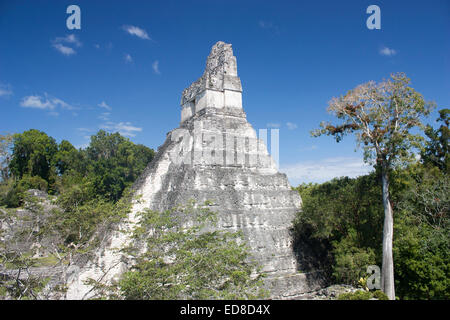 Guatemala, Petén Provinz, Tikal National Park, Tempel ich Stockfoto