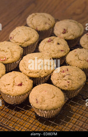 Muffins auf einem kühlenden Tablett. Stockfoto