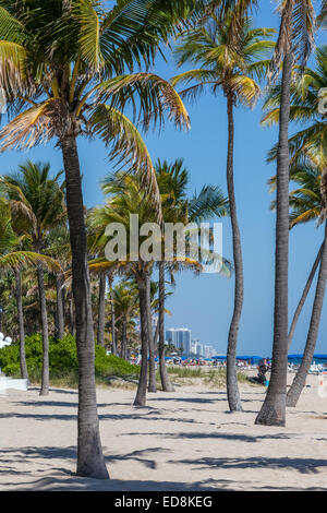 Ft. Lauderdale, Florida.  Strandszene, Wohnungen und Hotels in der Ferne. Stockfoto