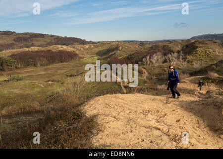 Wandern in erodierten bewachsenen permanente Sanddünen, Merthyr Mawr, Wales, UK Stockfoto