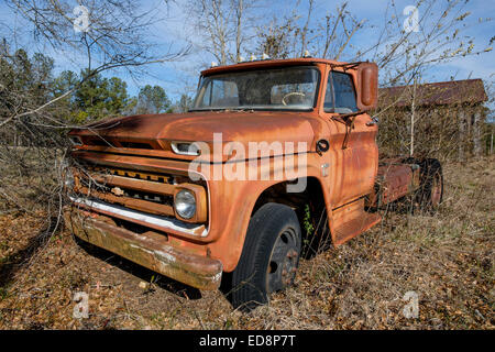 1960er Jahrgang Chevy c10 Lkw in einem ländlichen Alabama Feld aufgegeben, USA. Stockfoto