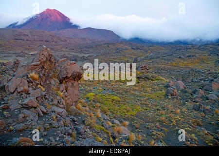 Erstes Licht auf Mt Ngauruhoe und die Rangipo Wüste im Tongariro-Nationalpark Stockfoto