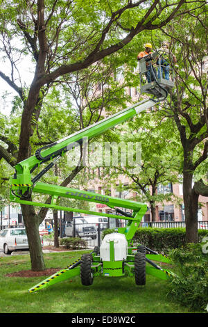 Chicago Illinois, Gold Coast Historic District, Nachbarschaft, Park, Baum, Landschaftsbau, Kirschpflücker, Niftylift, Anhänger montiert, Schaufellift, Trimmer, Trimmen, Stockfoto