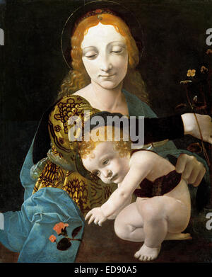 Giovanni Antonio Boltraffio, die Jungfrau und Kind (Madonna mit der Rose) 1480 Panel. Museo Poldi Pezzoli, Mailand, Italien. Stockfoto