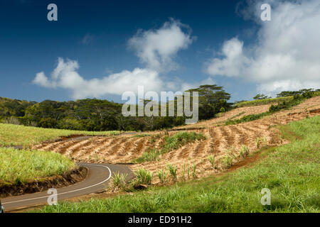 Mauritius, Bel Air, leer, Straße durch Zuckerrohrfelder Hügel Stockfoto