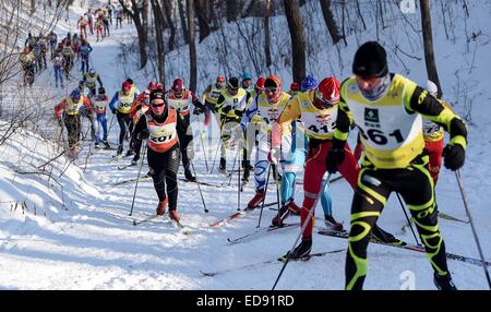 Changchun, China Jilin Provinz. 2. Januar 2015. Athleten kämpfen während der 50km klassisch in FIS Langlauf-Rennen in Changchun, Hauptstadt des nordöstlichen Chinas Provinz Jilin, 2. Januar 2015. Bildnachweis: Wang Haofei/Xinhua/Alamy Live-Nachrichten Stockfoto