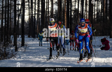 Changchun, China Jilin Provinz. 2. Januar 2015. Athleten kämpfen während der 50km klassisch in FIS Langlauf-Rennen in Changchun, Hauptstadt des nordöstlichen Chinas Provinz Jilin, 2. Januar 2015. Bildnachweis: Wang Haofei/Xinhua/Alamy Live-Nachrichten Stockfoto