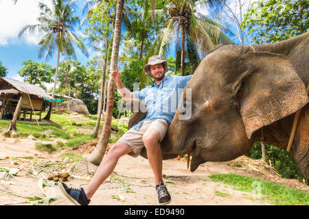 Elephan heben ein Tourist. Stockfoto