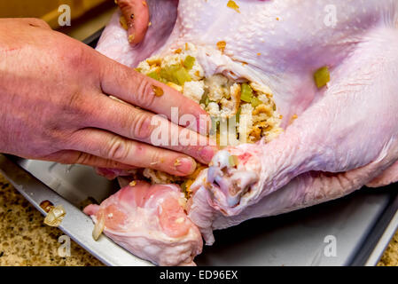 Zubereitung der Mahlzeiten der Thanksgiving - Füllung eine Türkei Stockfoto