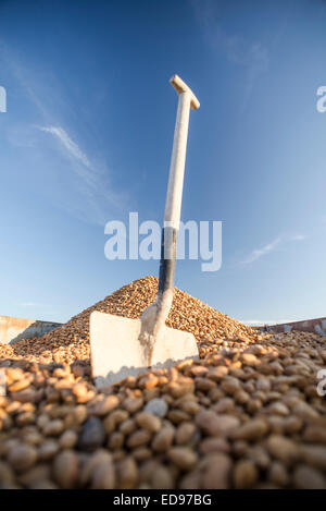 Schaufel Wagen Traktor mit Bio-Mandel-Ernte in Monegros. Aragon, Spanien Stockfoto