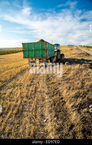 Wagon Traktor mit Bio-Mandel-Ernte in Monegros. Aragon, Spanien Stockfoto