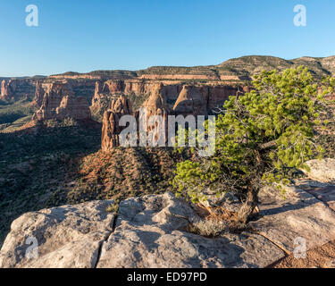 Buchen Sie Klippen Blick in Colorado National Monument. Colorado. USA Stockfoto