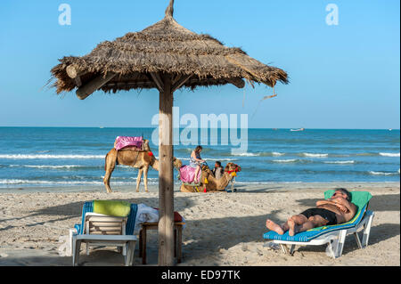 Kamel reitet Sidi Mehrez Strand Djerba Tunesien Nordafrika entlang Stockfoto