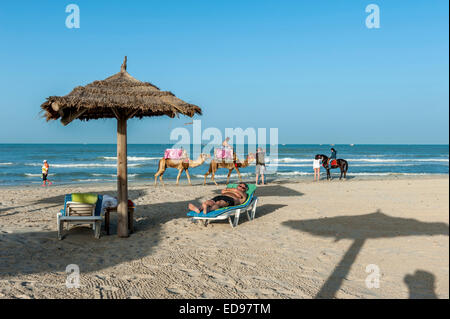 Kamel und Pferd reitet entlang Sidi Mehrez Beach, Djerba, Tunesien, Nordafrika Stockfoto