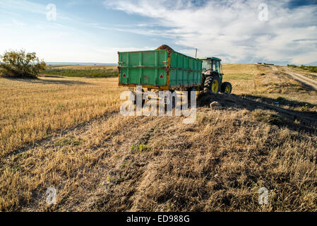 Wagon Traktor mit Bio-Mandel-Ernte in Monegros. Aragon, Spanien Stockfoto