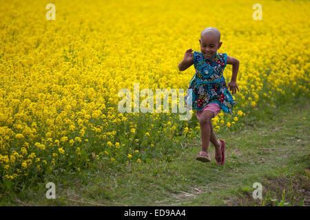 Bangladesch. 2. Januar 2015. Kinder spielen im aufgetriebene Feld in Bangladesch. Als Winter in diesem Land, die Zwerchgiebel Wendekreis des Krebses liegt vertieft, ist die Landschaft im Land, mit weite Landstriche der Felder von Senf, Kreditvergabe eine beeindruckende, fast magische Qualität, die fast endlose Aussicht über die deltaischen Prärie gefärbt. Stockfoto