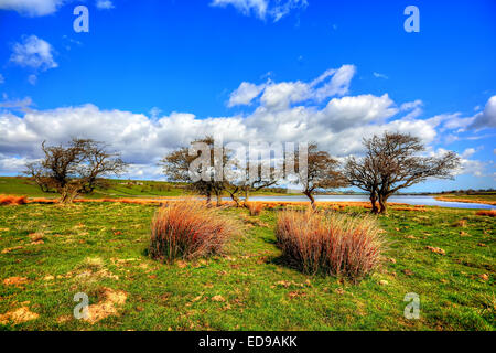 Jury-Reservoir sitzt in Baldersdale im oberen Teesdale County Durham Stockfoto