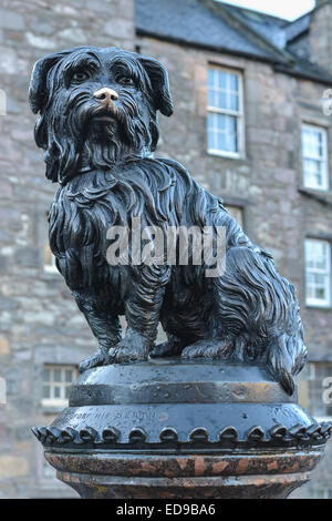 Nahaufnahme von Greyfriars Bobby Statue, Edinburgh, Schottland mit abgenutzten glänzende Nase Stockfoto