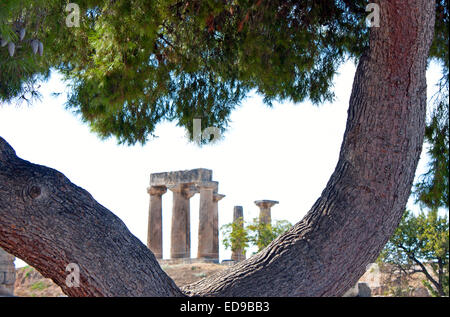 Tempel des Apollo in der antike Korinth, Peloponnes, Griechenland Stockfoto