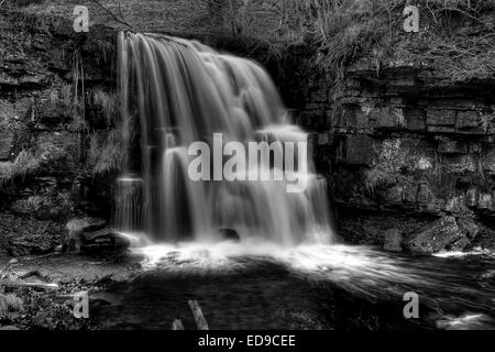 Osten Gill Force 1 Meile flussabwärts auf die Fluß Senke von Keld in der Yorkshire Dales National Park, North Yorkshire. Stockfoto