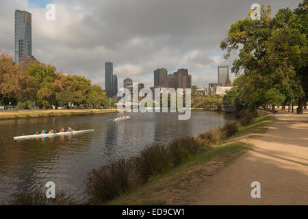 Ruderer auf dem Yarra Melbourne Stockfoto