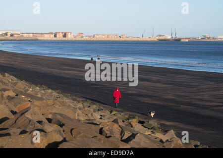 Frau zu Fuß Hund am Strand bedeckt in Kohlenstaub, Hartlepool, North east England, UK Stockfoto