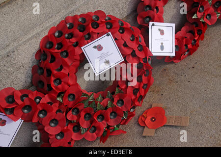 Gedenktag & Mohn Warrington Kenotaph Nov 2014, Bridgefoot, Wilderspool Causeway, Cheshire, England, UK Stockfoto