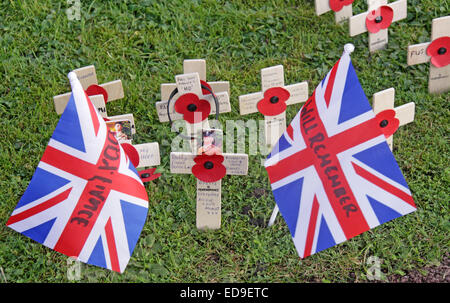 Gedenktag Flaggen / Mohn Warrington Kenotaph Nov 2014, Bridgefoot, Wilderspool Causeway, Cheshire, England, UK Stockfoto